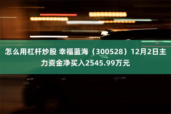 怎么用杠杆炒股 幸福蓝海（300528）12月2日主力资金净买入2545.99万元