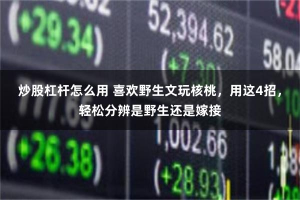 炒股杠杆怎么用 喜欢野生文玩核桃，用这4招，轻松分辨是野生还是嫁接