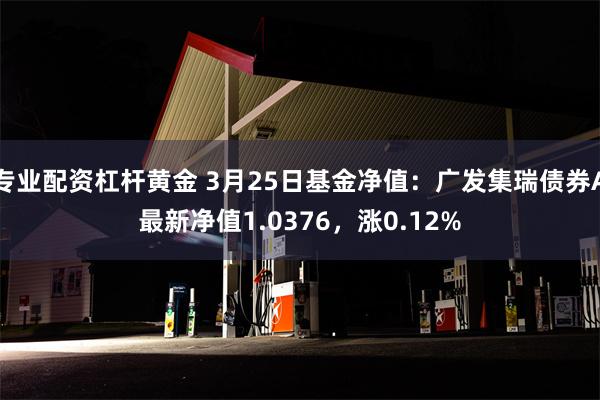 专业配资杠杆黄金 3月25日基金净值：广发集瑞债券A最新净值1.0376，涨0.12%