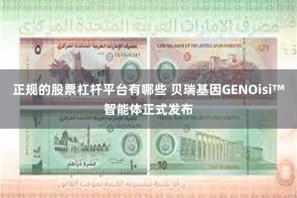 正规的股票杠杆平台有哪些 贝瑞基因GENOisi™智能体正式发布