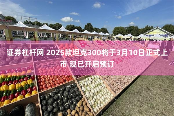 证券杠杆网 2025款坦克300将于3月10日正式上市 现已开启预订