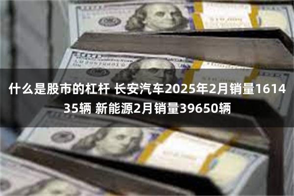 什么是股市的杠杆 长安汽车2025年2月销量161435辆 新能源2月销量39650辆