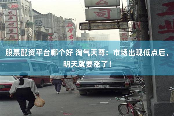 股票配资平台哪个好 淘气天尊：市场出现低点后，明天就要涨了！