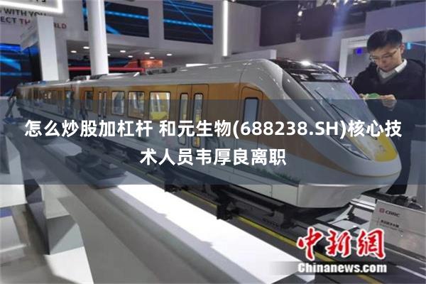 怎么炒股加杠杆 和元生物(688238.SH)核心技术人员韦厚良离职