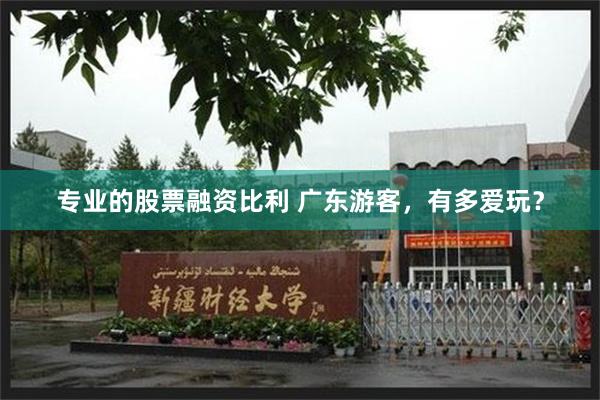 专业的股票融资比利 广东游客，有多爱玩？