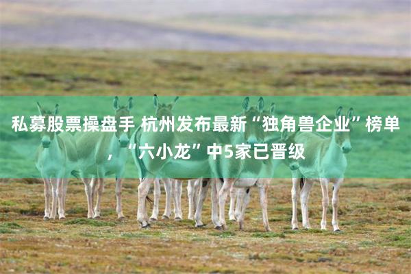 私募股票操盘手 杭州发布最新“独角兽企业”榜单，“六小龙”中5家已晋级