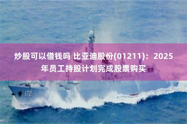 炒股可以借钱吗 比亚迪股份(01211)：2025年员工持股计划完成股票购买