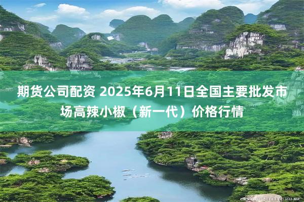 期货公司配资 2025年6月11日全国主要批发市场高辣小椒(新一代)价格行情