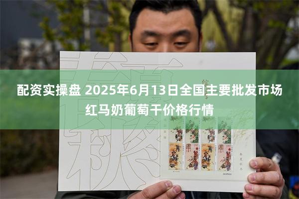 配资实操盘 2025年6月13日全国主要批发市场红马奶葡萄干价格行情