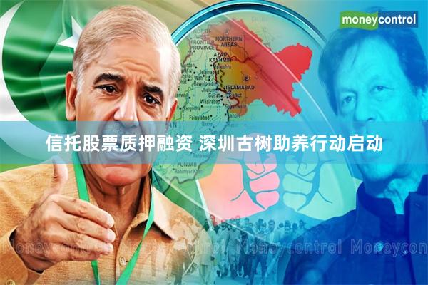 信托股票质押融资 深圳古树助养行动启动